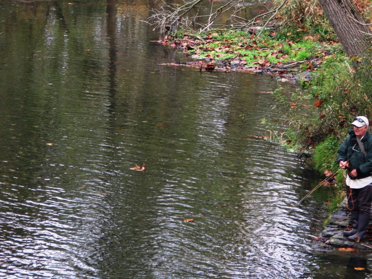 El Parque Natural Quittie Creek vuelve a conectar a los humanos con su hábitat natural