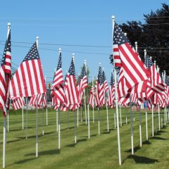 Opening ceremony planned for annual Flags for Heroes event in Myerstown